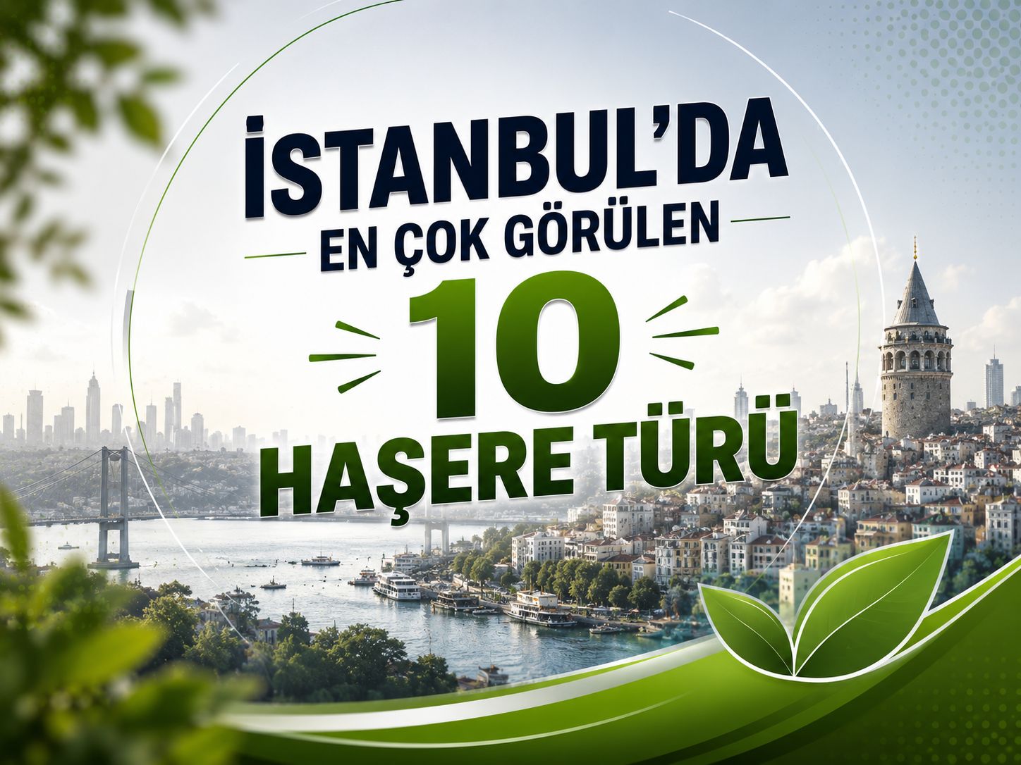 İstanbul’da En Çok Görülen 10 Haşere Türü
